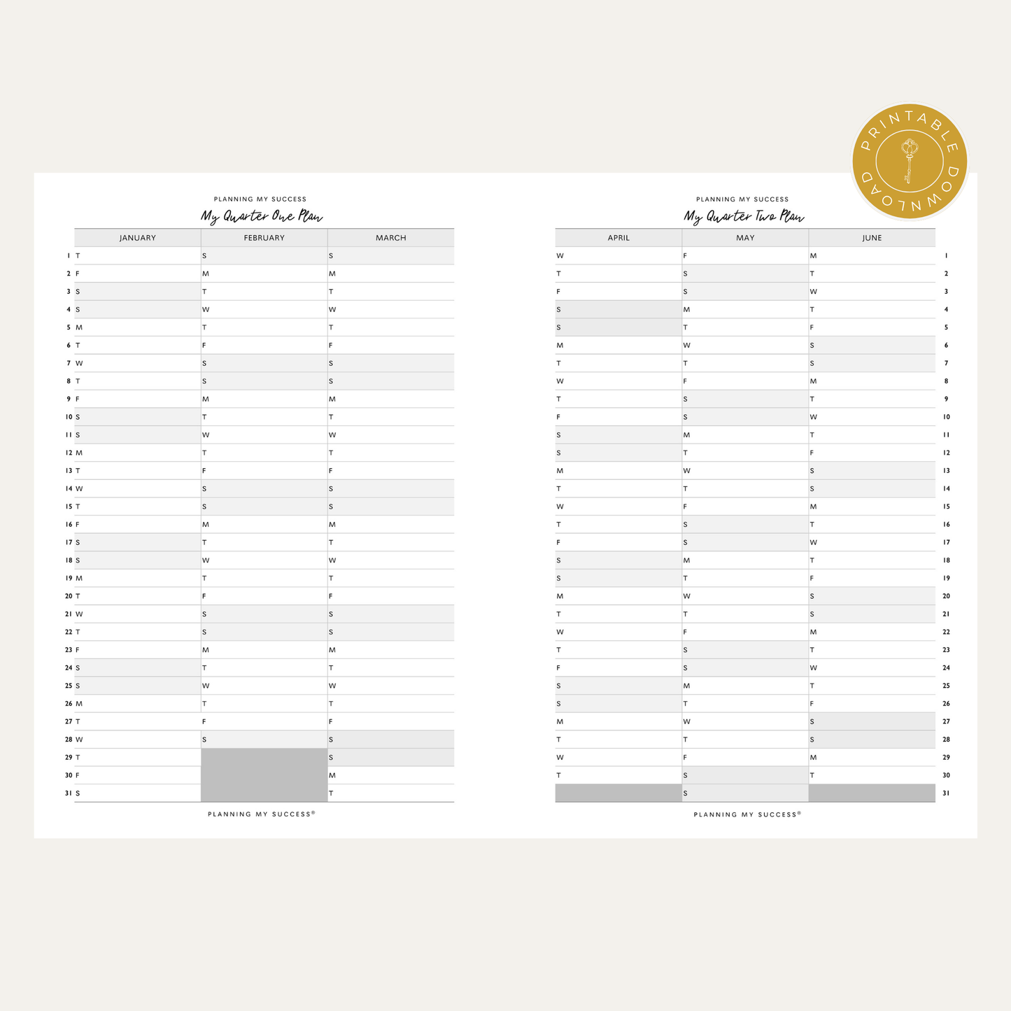 PRINTABLE Planning my Success in 2026 - Inserts Pack (Day on One Page)