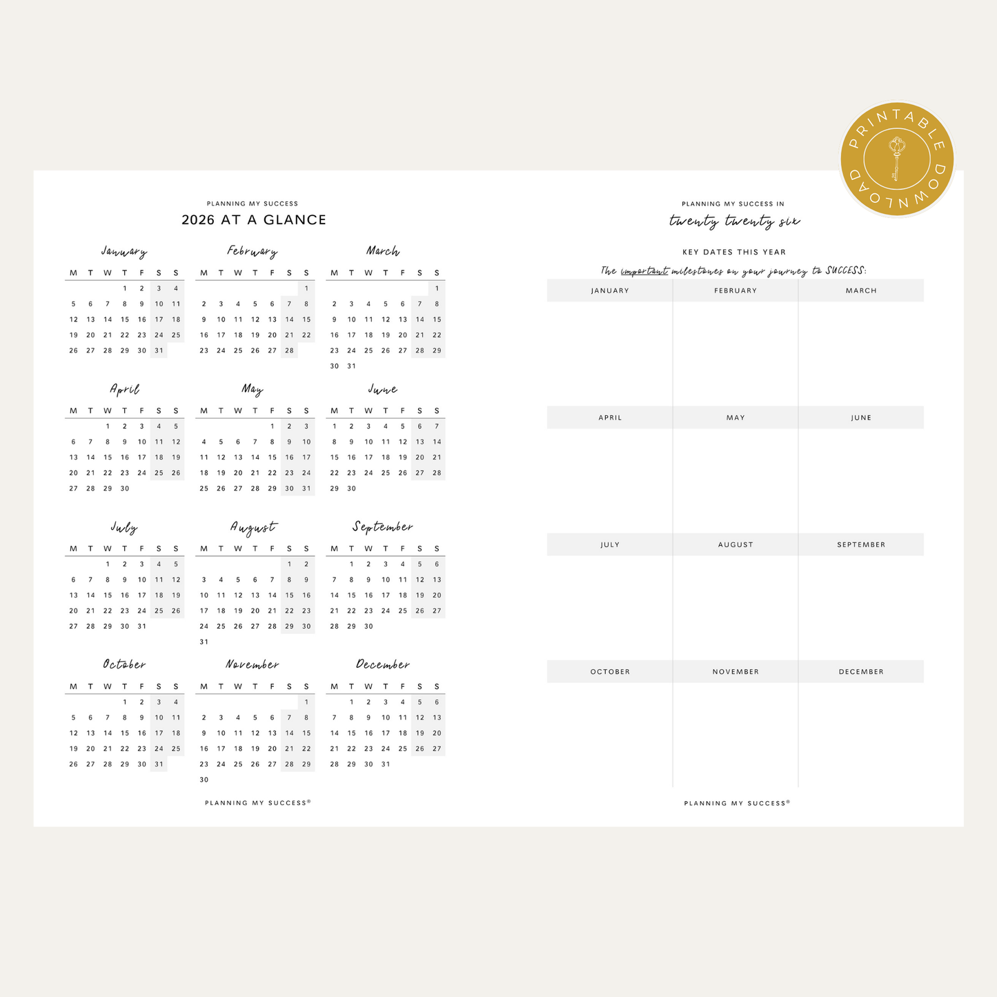 PRINTABLE Planning my Success in 2026 - Inserts Pack (Day on One Page)