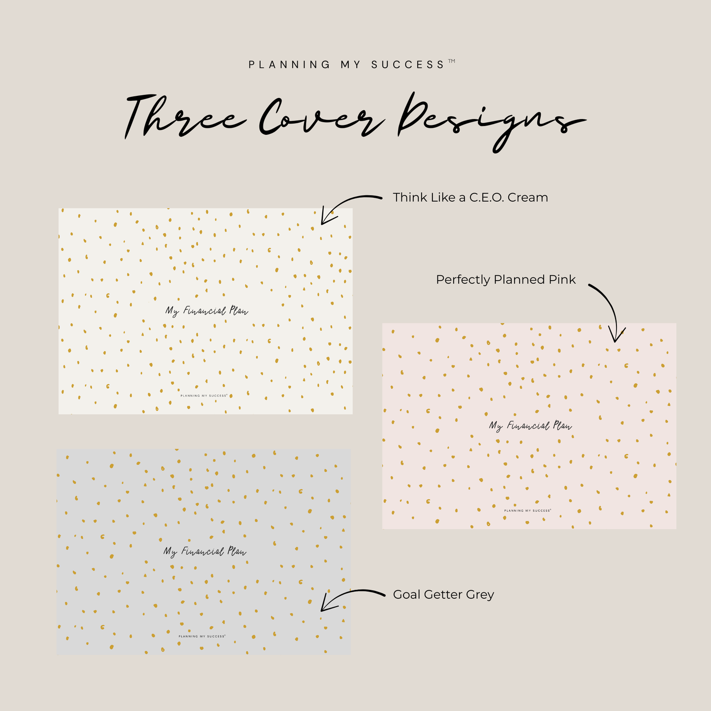 My Financial Plan™ – The Savvy CEO's Income and Expenses Tracker