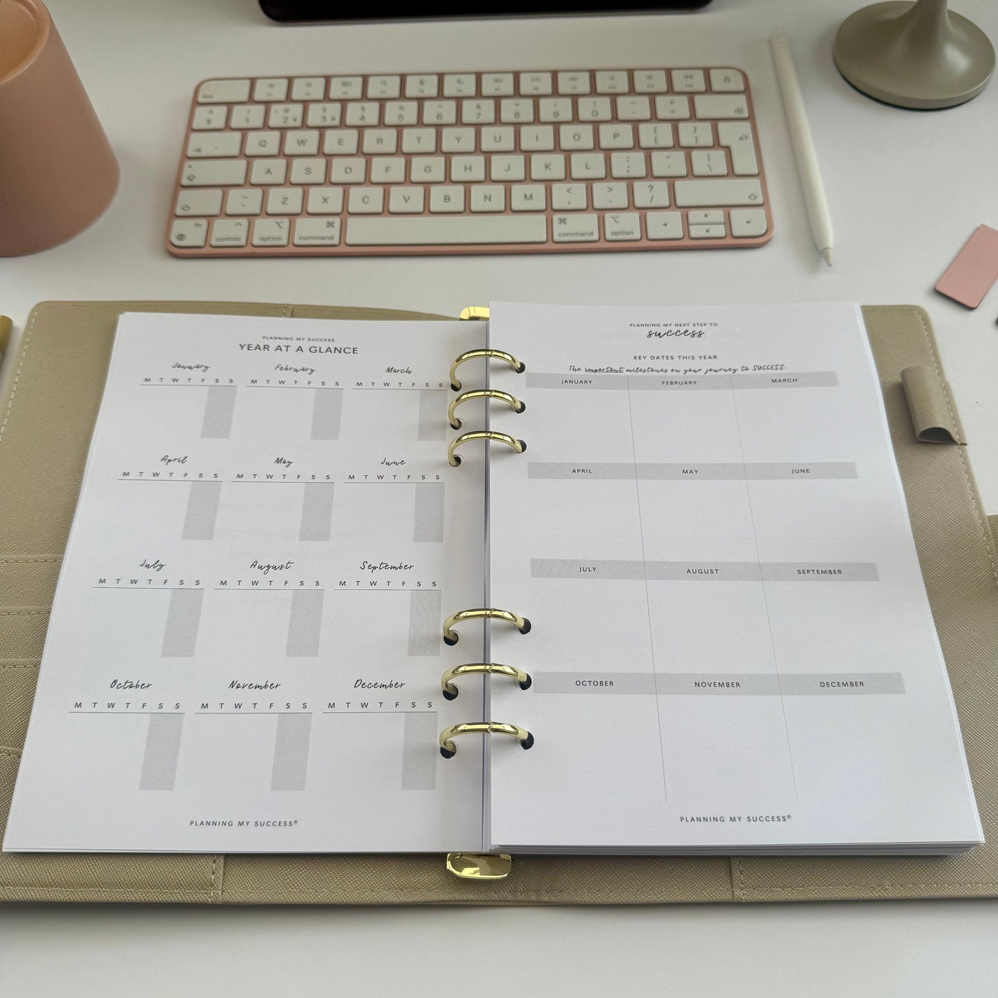 Planning my Success in the Year Ahead - A5 Undated Inserts Pack (Day on One Page)
