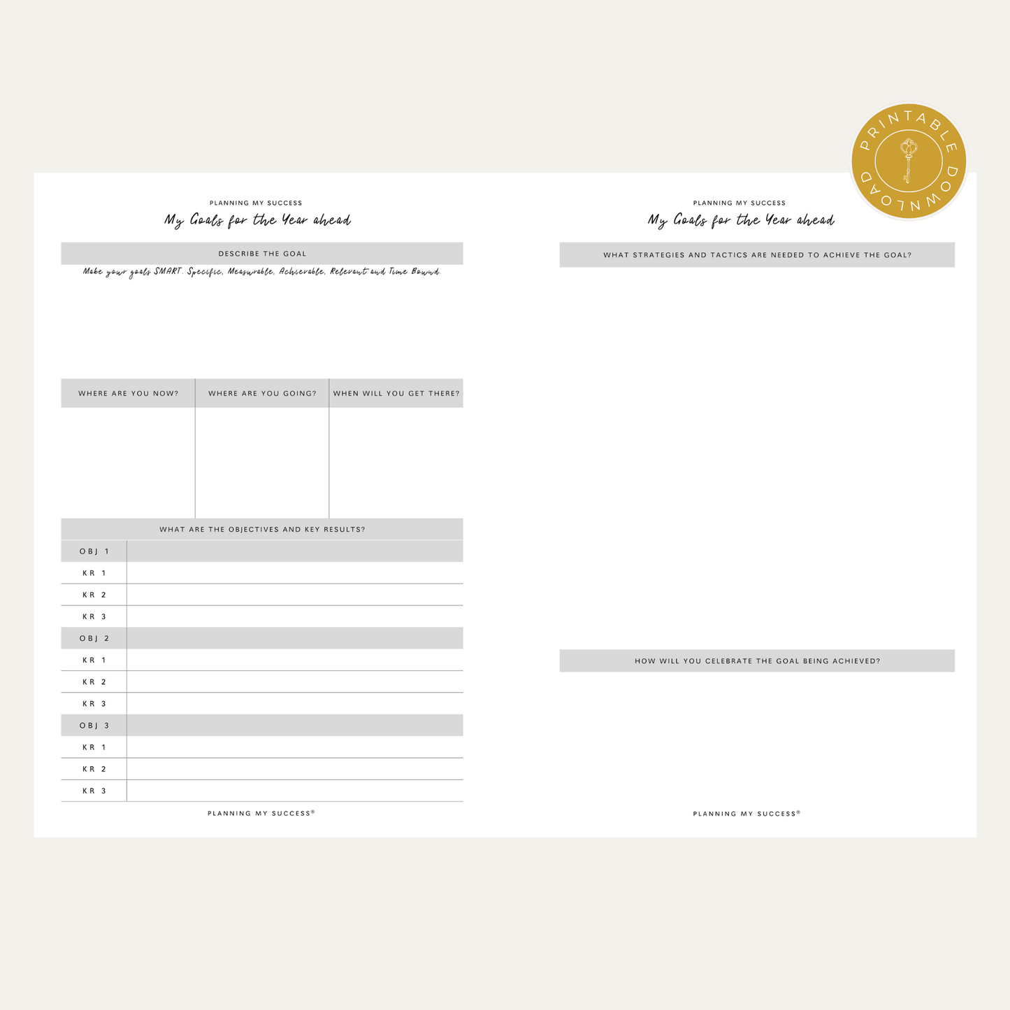 PRINTABLE Planning my Success -  Undated Inserts Pack (Day on One Page)