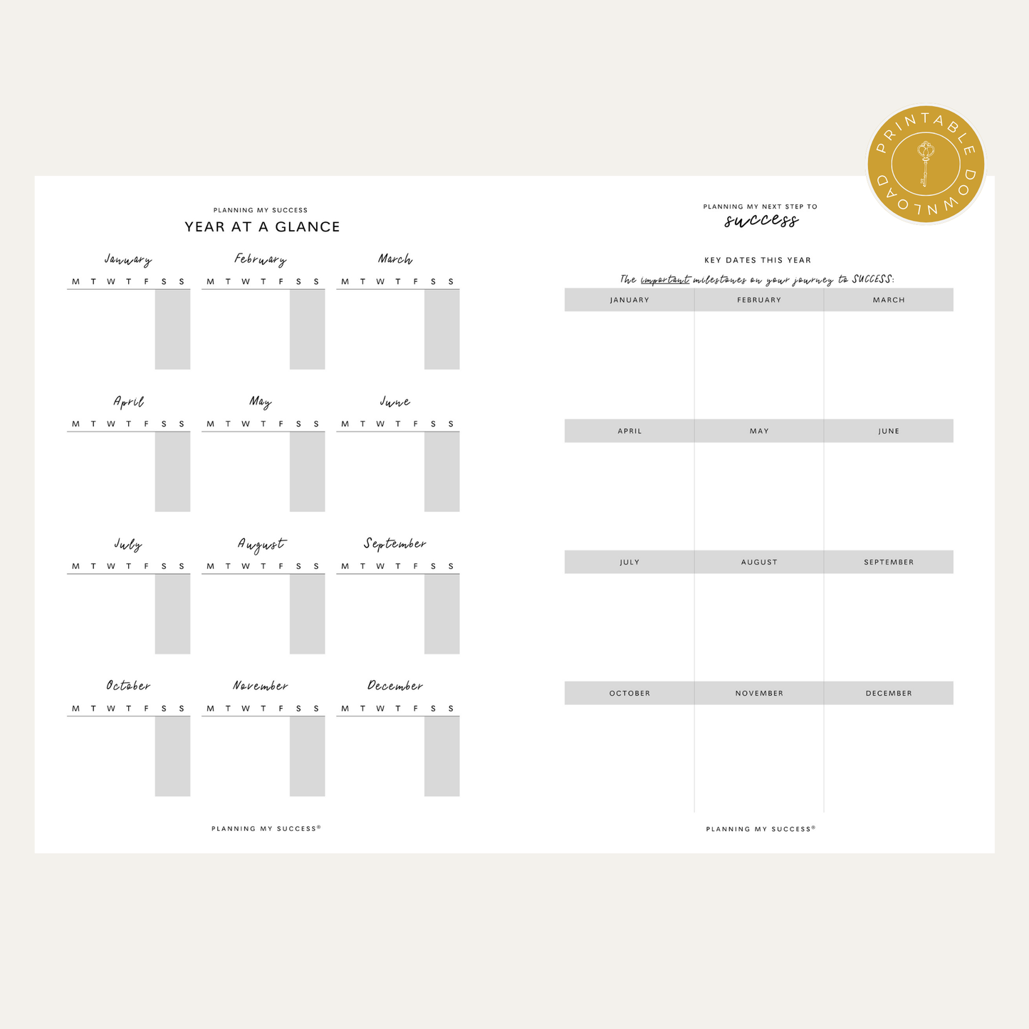 PRINTABLE Planning my Success -  Undated Inserts Pack (Day on One Page)