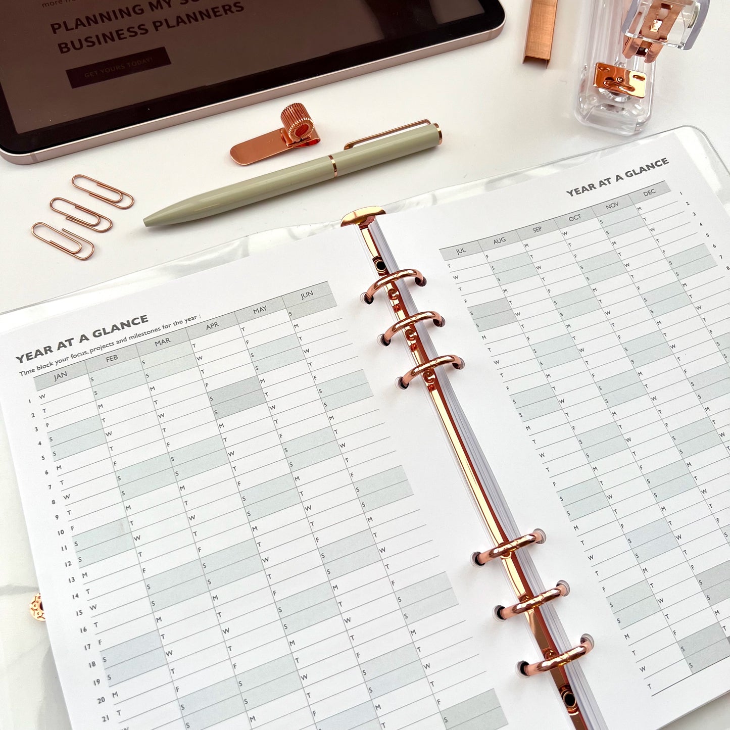 Planning my Success in 2025 - Printable Inserts Pack (Day on One Page)