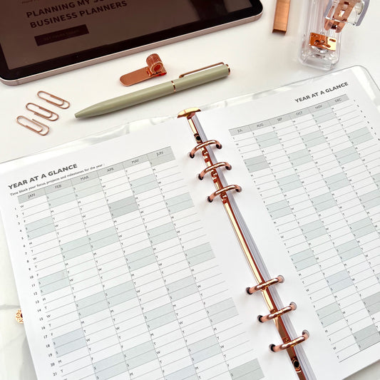 Planning my Success in 2025 - Printable Inserts Pack (Day on One Page)